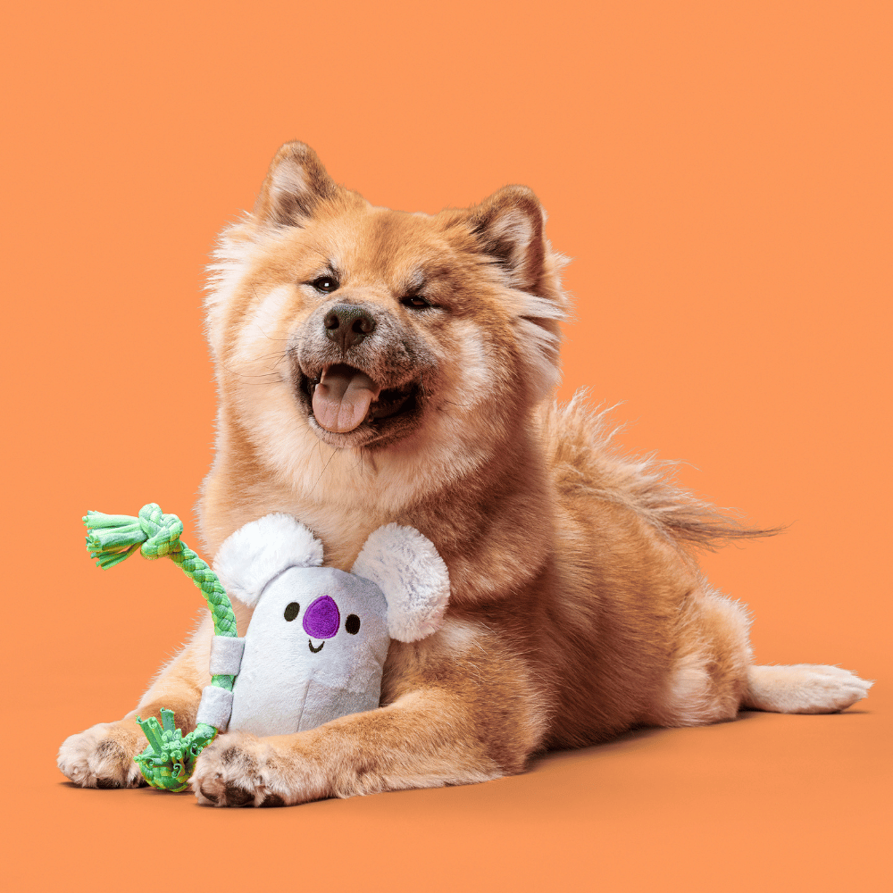 Bark Koa Koala Dog Toy