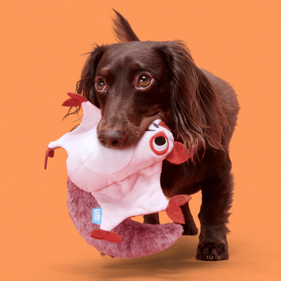 Bark Sydney Sugar Glider Dog Toy