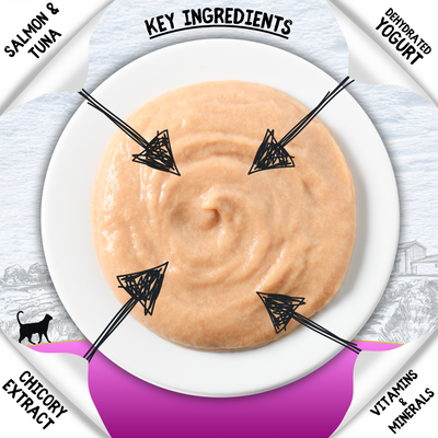 COOKHOUSE Luxury Cat Treats - Luxury Licks Puree - Salmon