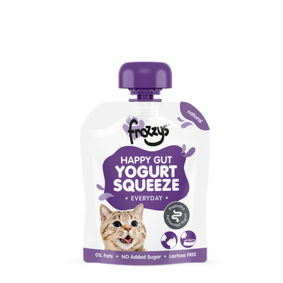 Frozzys Yogurt Squeeze Pouch Cat Natural 85g