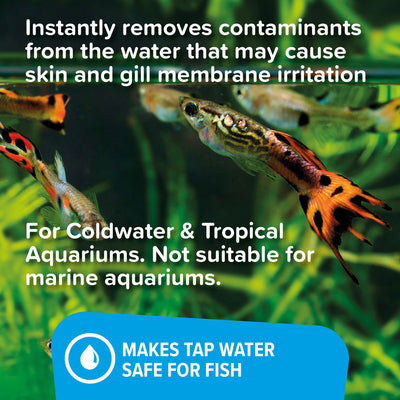 King British De-Chlorinator 250ml