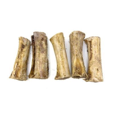 T Forrest Large Meat Filled Buffalo Bone x12