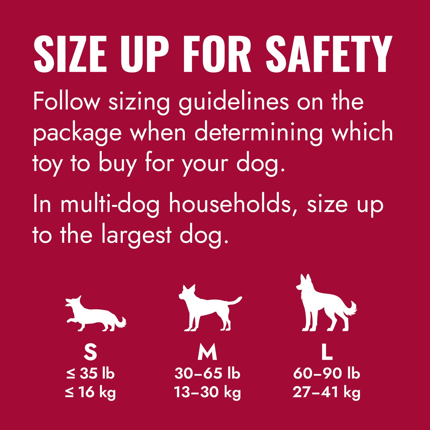 KONG Ball with Hole - Large