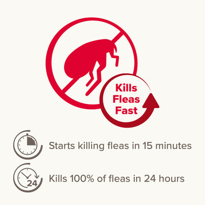 Beaphar Flea Tablets for Cats -  3 Tablets