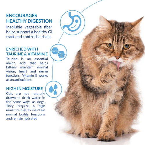 Churu Hairball Control 4 Pack Chicken Recipe