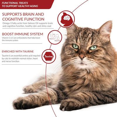 Churu Senior 4 Pack Tuna with Salmon Recipe