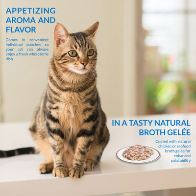 Ciao Twin Packs Chicken Recipe in Chicken Broth