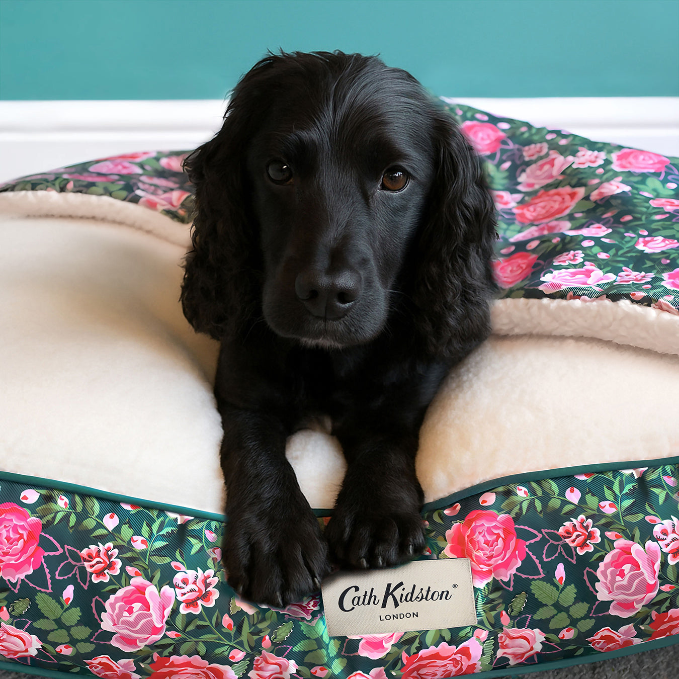 Cath Kidston Dolly Rose Pet Blanket