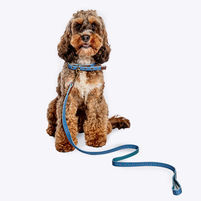 FatFace Spotty Bees Lead Medium 2cm