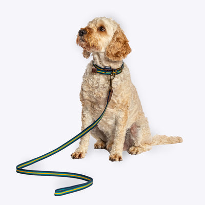 FatFace Bold Stripe Woven Lead Large 2.5cm