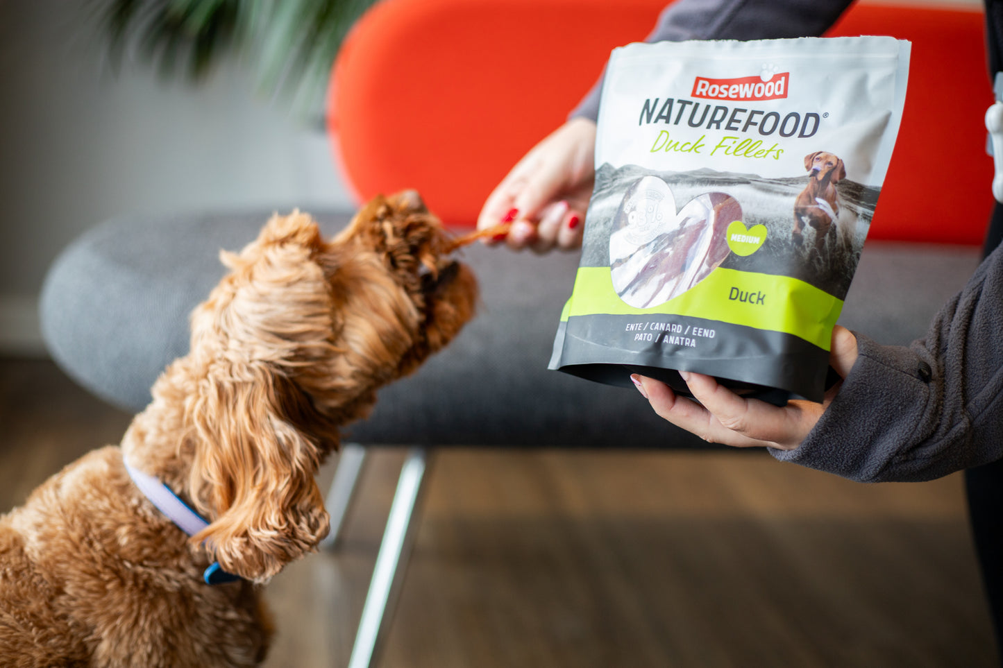 Naturefood Duck Fillets Value Pack 320g