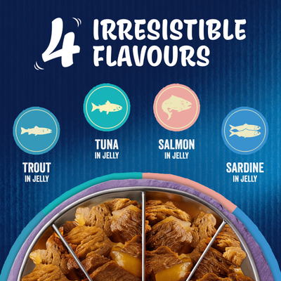 Felix Senior As Good As It Looks Mixed Variety Fish 40x85g