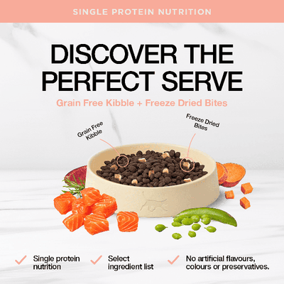 Real Simplicity Grain Free Kibble Wild Caught Salmon 1.6kg