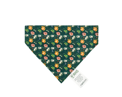 RHS Pets in the Garden Reversible Bandana
