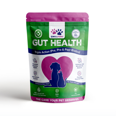 WellPaws Gut Health Triple Action Chewable 180g