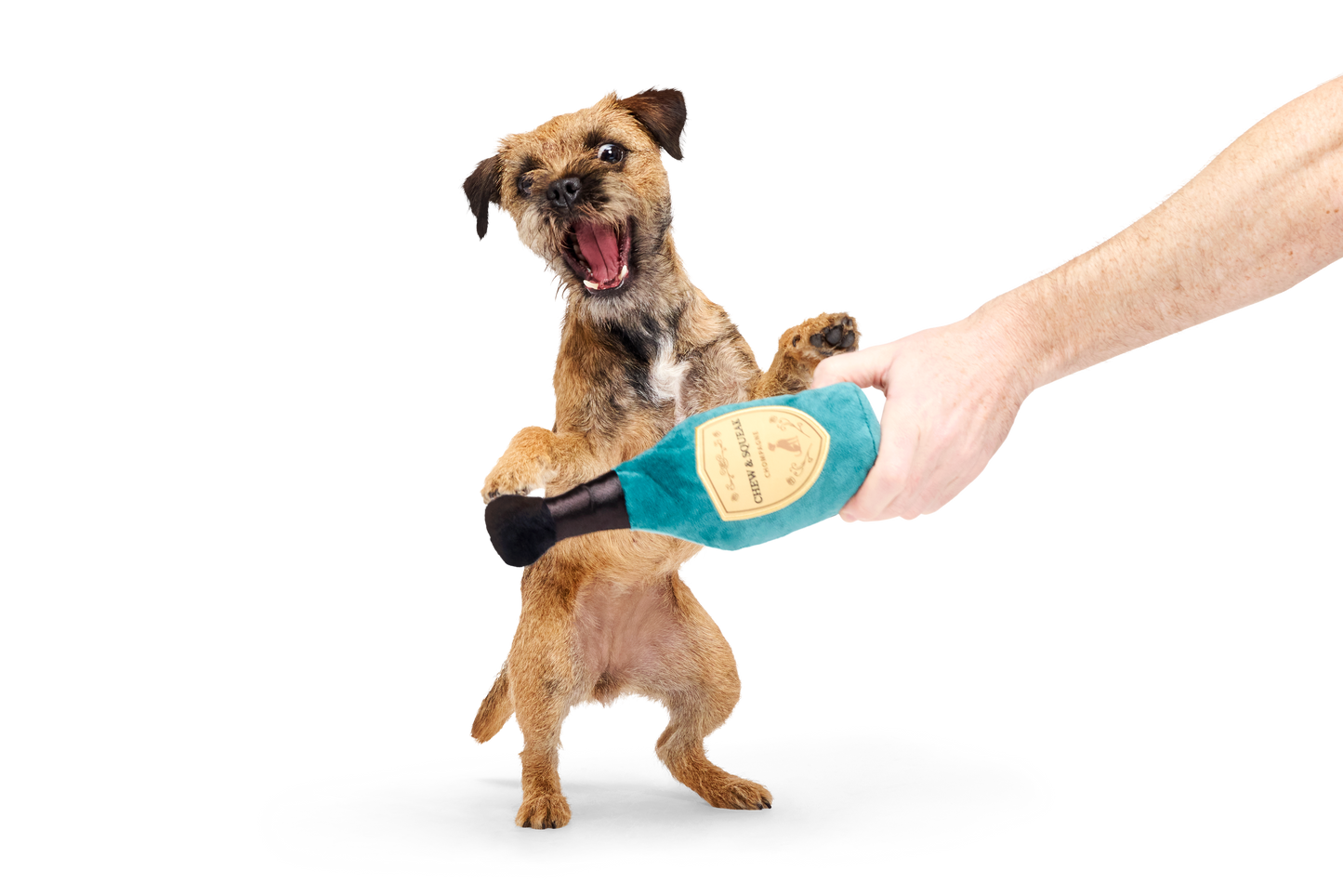 Bark Winner's Chompagne