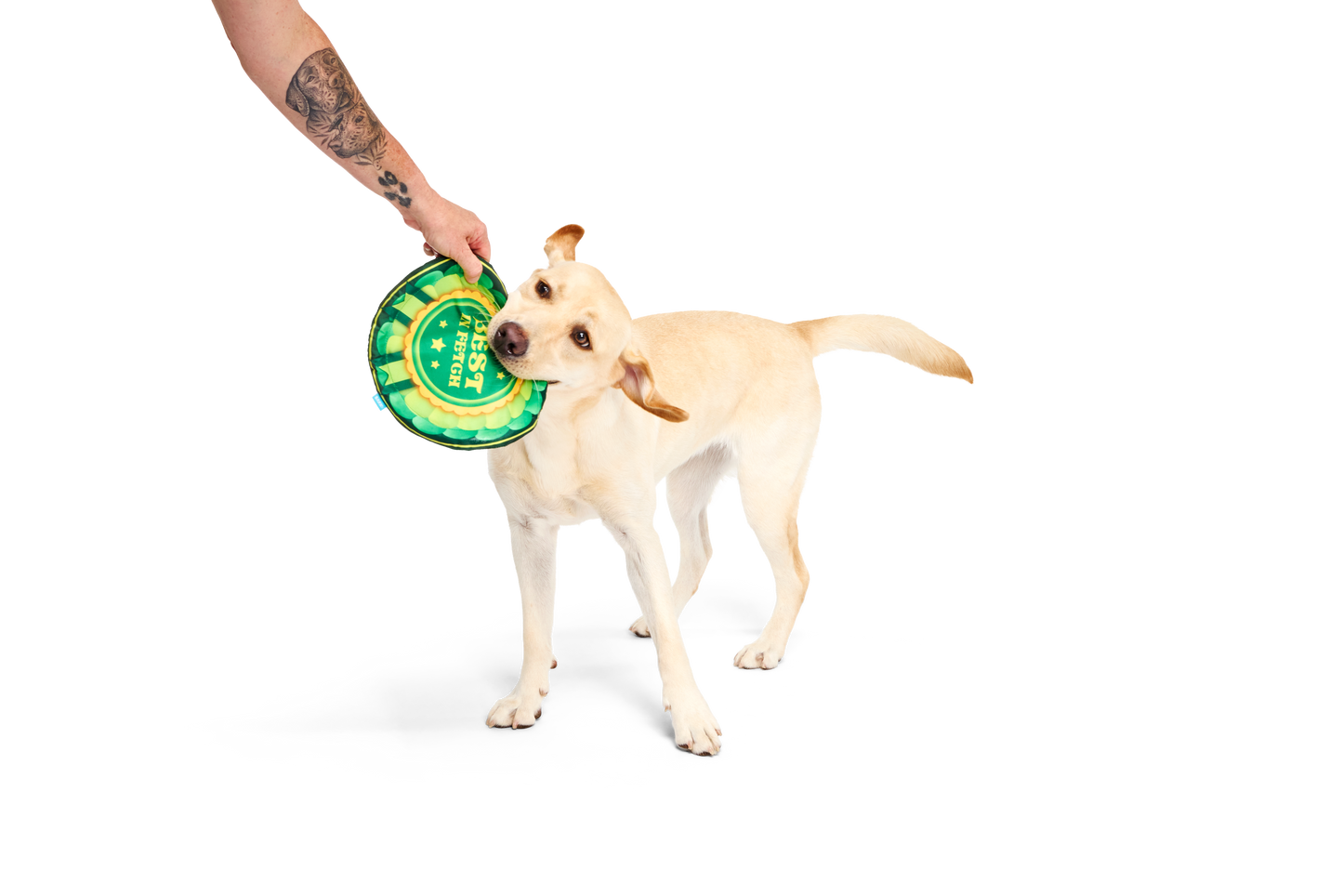 Bark Throwsette Disc