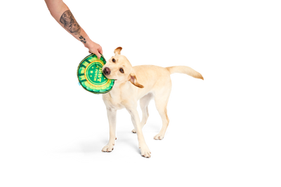 Bark Throwsette Disc