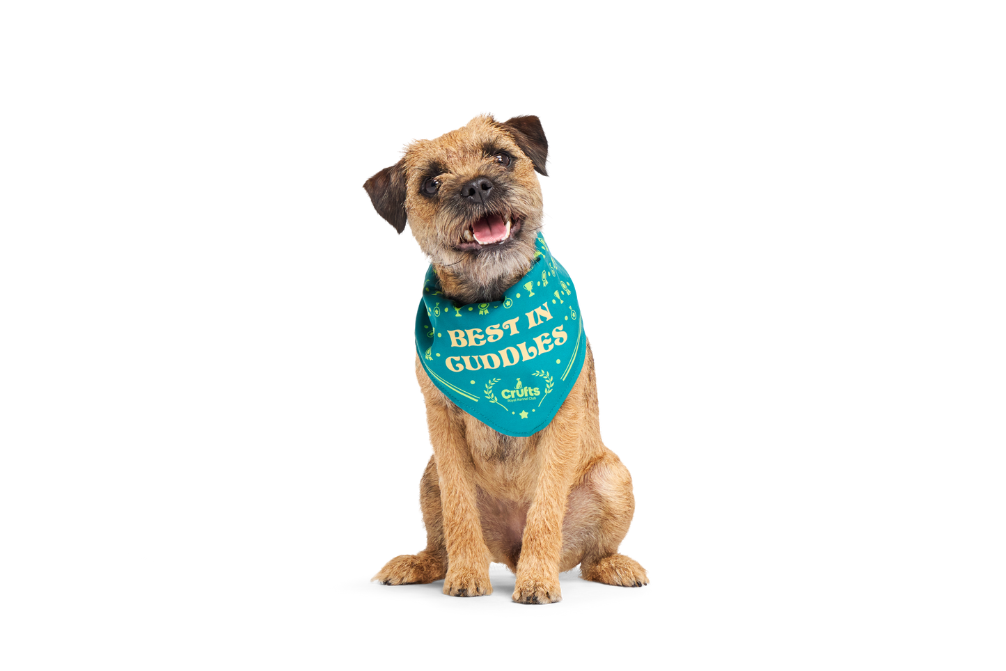 Bark Crufts Winner's Bandana