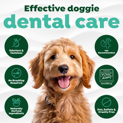 Fresh Breath Dental Health Solution 473ml