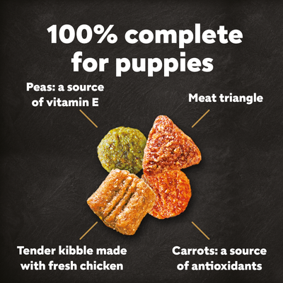 Cesar Dog Complete Dry Puppy with Chicken Rice and Veg 1.4kg