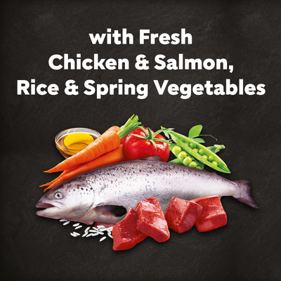 Cesar Dog Complete Dry with Chicken Salmon and Veg 1.4kg