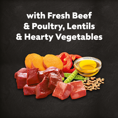 Cesar Dog Complete Dry with Beef Poultry and Veg 1.4kg