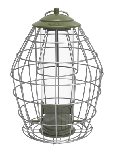 Peckish Canto Squirrel Proof Seed Feeder