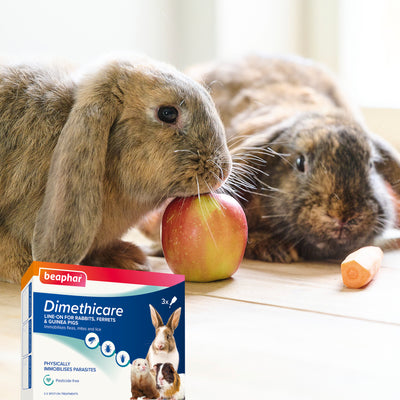 Beaphar Dimethicare Line-On Mite Flea & Lice Control for Rabbits Guinea Pigs & Ferrets - 3 Pipettes
