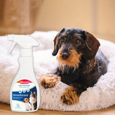 Beaphar Dimethicare Flea & Tick Spray for Pets Home and Car 250ml