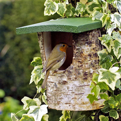 National Trust Birch Log Nest Box Open