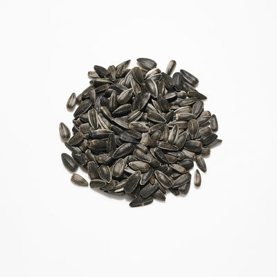 Countrywide Black Sunflower Seed 13kg