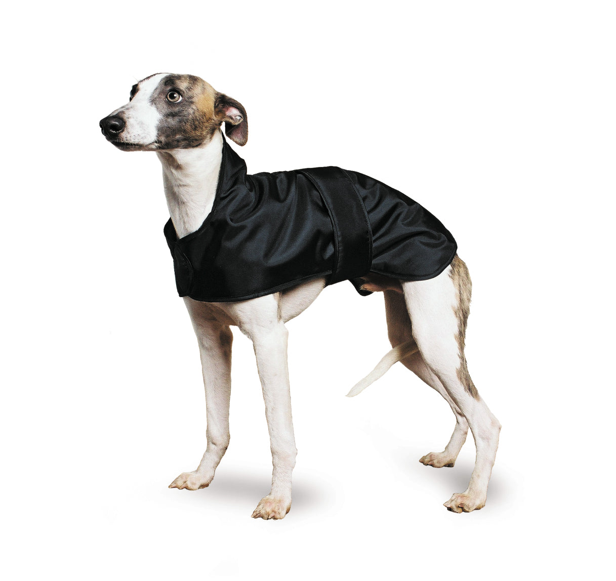 Muddy Paws Whippet Coat Black 53cm