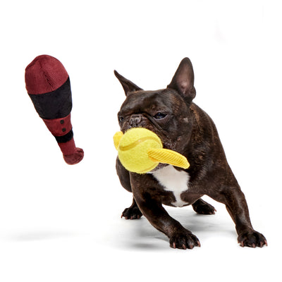 Bark Harry Potter Quidditch Set