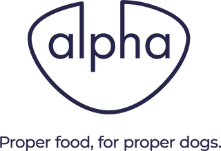 Alpha logo