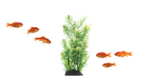Aquarium Accessories