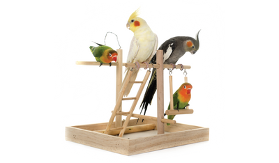 Bird Accessories