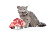 Cat - Frozen Foods
