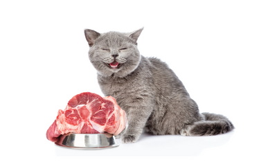 Cat - Frozen Foods