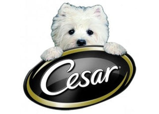 Cesar logo