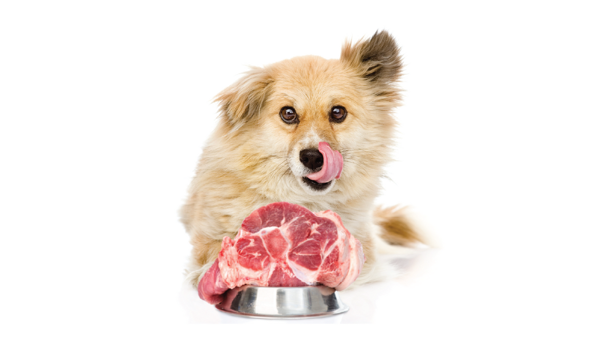 Frozen Foods