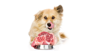 Dog - Frozen Foods - Frozen