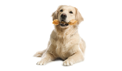 Dog Treats