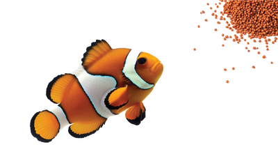 Aquatic - Foods