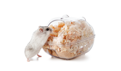 Small Animal Bedding