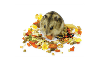 Small Animal Foods