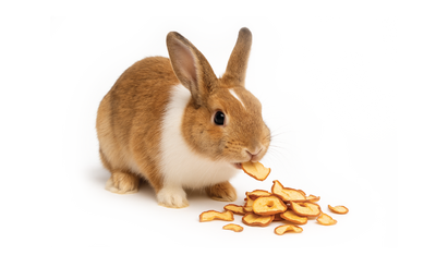 Small Animal Treats