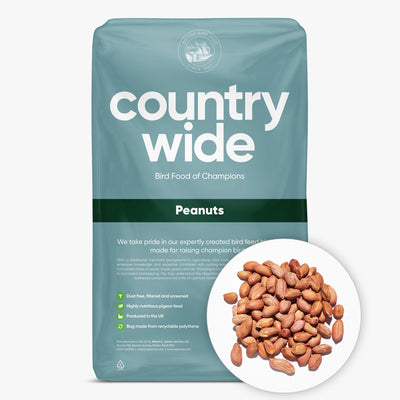 Countrywide Bird Peanuts Redskins 25kg
