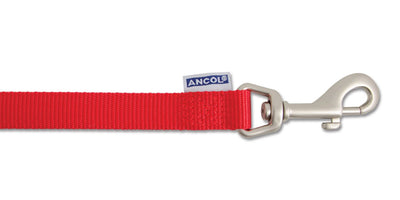 Viva Nylon Padded Snap Lead Red 19mm X1m