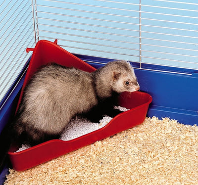 L370 Corner Toilet For Small Animals Asstd 27x27x17cm